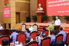 En la sesión de trabajo (Fuente: VNA)