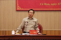 El viceprimer ministro de Vietnam Tran Hong Ha en la teleconferencia (Fuente: VNA)