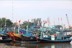 Los barcos pesqueros en Binh Thuan (Fuente: VNA)