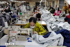 En una fábrica de empresa de prendas de vestir para la exportación en la provincia norteña de Ha Nam (Foto: VNA)
