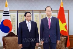 El primer ministro de Vietnam, Pham Minh Chinh (izquierda) y su homólogo surcoreano, Han Duck Soo (Fuente: VNA)