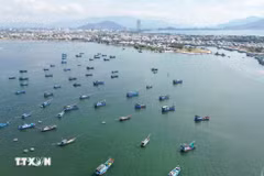 Foto ilustrativa (Fuente: VNA)