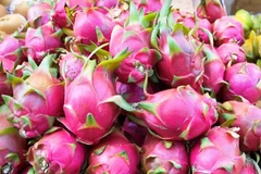 Pitahaya vietnamita llega a las tiendas de Australia