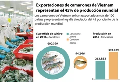 [Infografía] Exportaciones de camarones de Vietnam representan el 45% de producción mundial