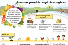 [Infografía] Panorama general de la agricultura orgánica