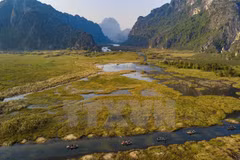 [Fotos] Laguna Van Long en Vietnam, paraíso de cigüeñas 