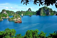 Vietnam y Colombia cooperan en promoción turística