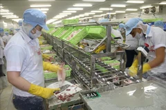 En alza exportaciones de provincia vietnamita Tien Giang entre enero y julio