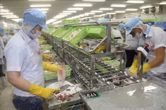 En alza exportaciones de provincia vietnamita Tien Giang entre enero y julio