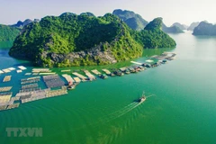 Archipiélago vietnamita opta por desarrollo de turismo verde y sostenible