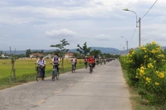 Invierte provincia vietnamita millones de dólares para la construcción de nueva ruralidad 