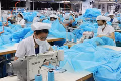 Cese de beneficios arancelarios no afectará exportaciones vietnamitas a Unión Económica Euroasiática
