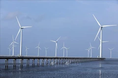 Energías solar y eólica en Vietnam registran mayor crecimiento en la región en 2020