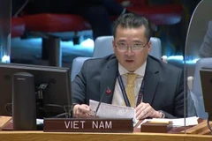 Vietnam preocupado por situación en región de los Grandes Lagos en África