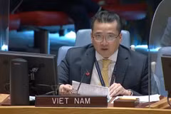 Vietnam preocupado por situación en región de los Grandes Lagos en África