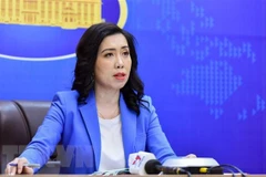 Aclara Cancillería de Vietnam asuntos de interés público 