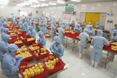 Exhortan a empresas vietnamitas a aprovechar oportunidades de exportación a Reino Unido