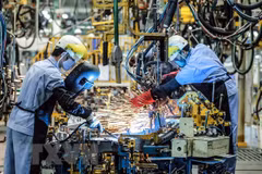 Crecen expectativas de empresas alemanas en economía de Vietnam en 2021