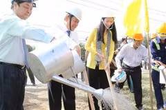 Plantará provincia vietnamita de Ben Tre 10 millones de árboles