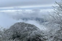 Norte de Vietnam sufre nuevamente frío intenso