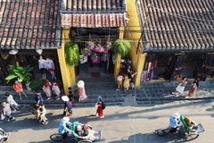 Más del 60 por ciento de los japoneses aspiran a visitar Vietnam