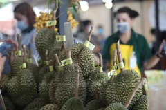 Surge una competición en Asia por ser principal productor mundial de durian