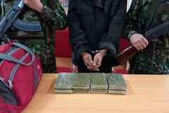 Arrestan a narcotraficante en provincia vietnamita de Nghe An
