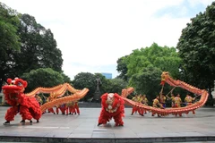 Hanoi celebrará programa cultural en vísperas del Año Nuevo Lunar 