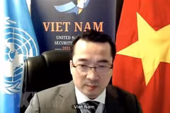 Vietnam pide respetar el alto el fuego en Libia