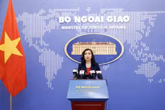 Vietnam reitera la política exterior de independencia y autodeterminación