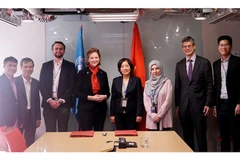 PNUD y Universidad Fulbright Vietnam cooperan en estudio de políticas económicas