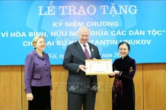 Unión de Organizaciones de Amistad de Vietnam, núcleo de la diplomacia popular