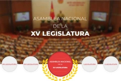 Lanza VNA sitio web especial sobre próximas elecciones