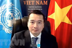 Vietnam y Consejo de Seguridad: Aprueban dos resoluciones sobre Libia