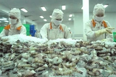 Apunta Vietnam a alcanzar cuatro mil millones de dólares por exportaciones de camarón en 2021