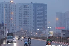 Vietnam prevé prohibir uso doméstico del carbón en 2021