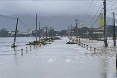 Hanoi puede asimilar experiencias de Bruselas sobre lucha contra inundaciones