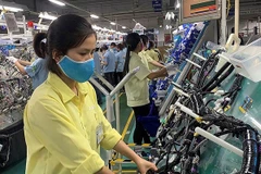 Provincia vietnamita Vinh Phuc apoya mejora de capacidad de producción de establecimientos 