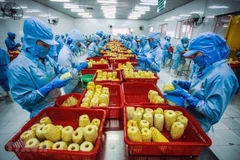 Crecen exportaciones de frutas y verduras vietnamitas en el primer trimestre de 2021