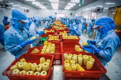 Crecen exportaciones de frutas y verduras vietnamitas en el primer trimestre de 2021