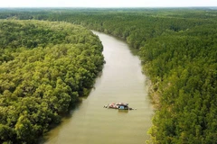Vietnam busca promover protección y desarrollo de bosques en áreas costeras