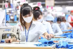 Destinan fondo multimillonario para trabajadores vietnamitas afectados por el COVID-19