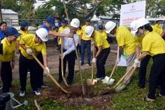 Lanzan en provincia vietnamita programa de plantación de árboles