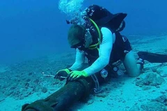 Velocidad de internet de Vietnam a extranjero se recupera luego de incidente