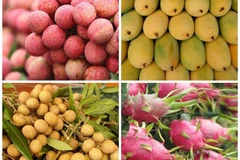 Robustecen Vietnam y China cooperación en agricultura y consumo de frutas