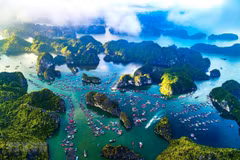 Vietnam y otros países por fortalecer lucha contra contaminación del océano