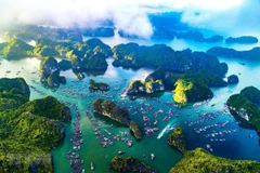 Vietnam y otros países por fortalecer lucha contra contaminación del océano