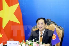 ASEAN e India cooperan en la lucha contra el COVID-19