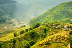 Forbes: Provincia vietnamita de Lao Cai entre las cinco maravillas naturales del Sudeste Asiático