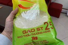 Aumentan exportaciones de variedades de arroz vietnamita ST24 y ST25 